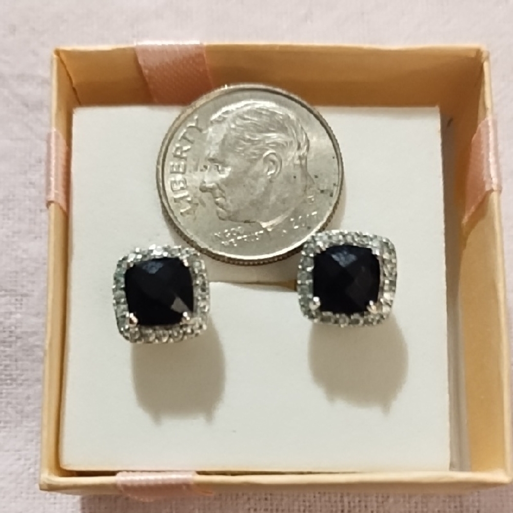 🇺🇸 Clearance 🇺🇸Elegant Black and Silver Tone Stud Earrings